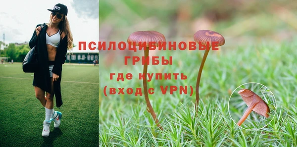 крисы Алексеевка