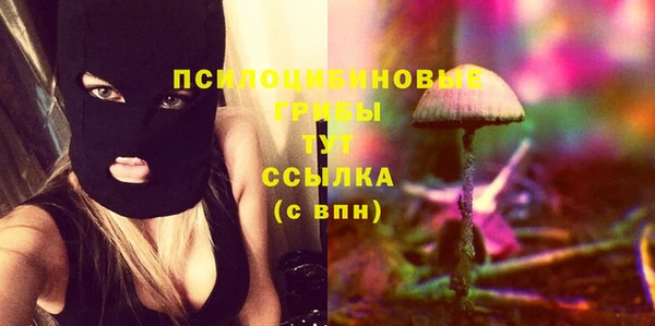 крисы Алексеевка